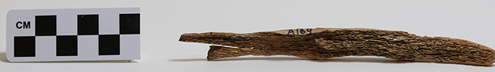 bone artifact a169