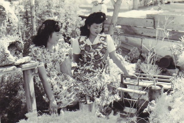 amache gardens historically