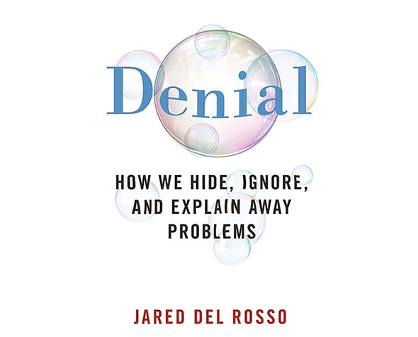 Book Cover of Denial, How We Hide, Ignore, and Explain Away Problems
