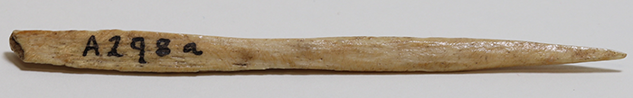 bone artifact a298a
