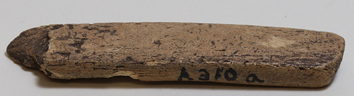 bone artifact a310a