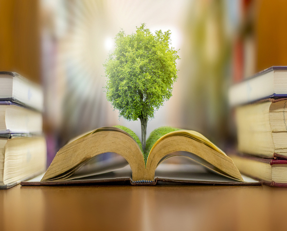 Open book with a tree