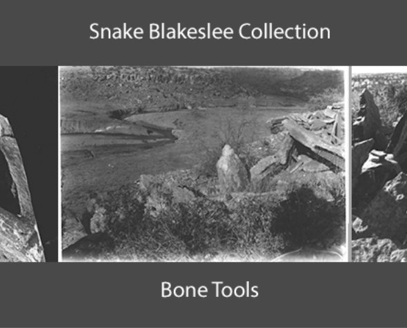 Snake Blakeslee