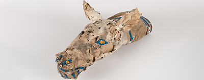 Nimiipuu ˀiméesnim ˀítetp’es, or Deer Head Bag, from the Wetxuuwíitin’ Collection. 