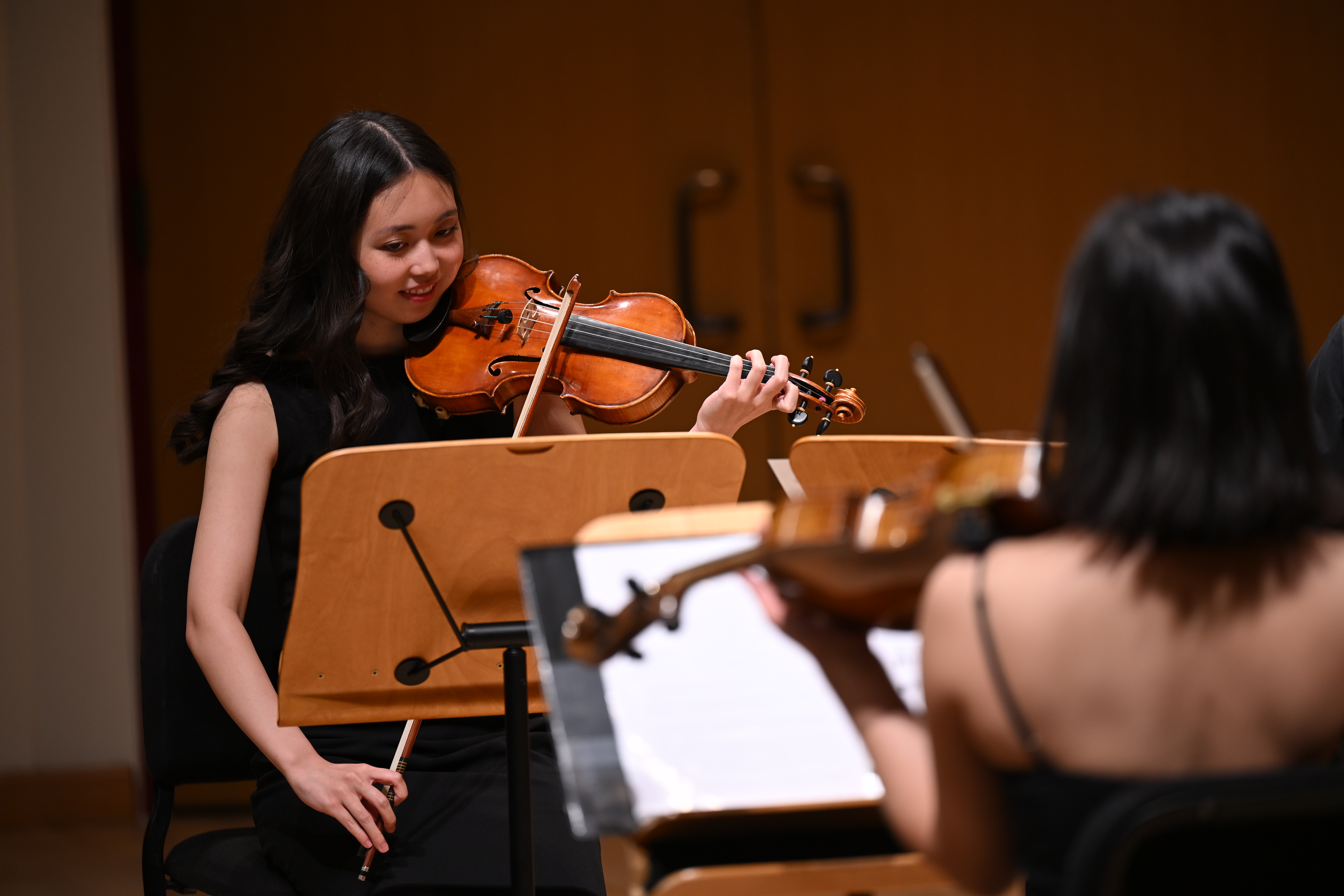Violinist