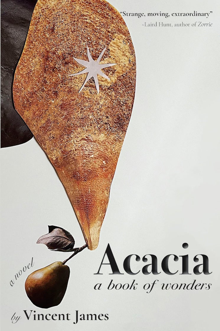 acacia