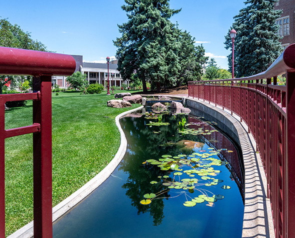 Pond on University of Denver campus