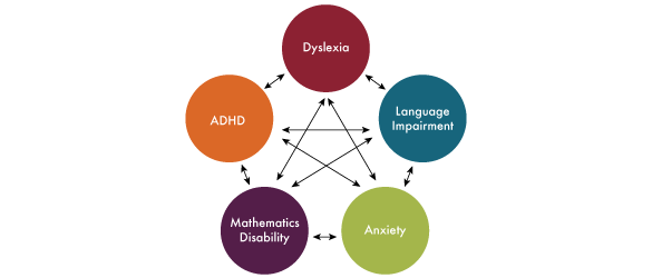 Diagram showing circles with the words Dyslexia, Language Impairment, Anxiety, Mathematics Disability, and ADHD, with arrows showing that each is connected to all the others.