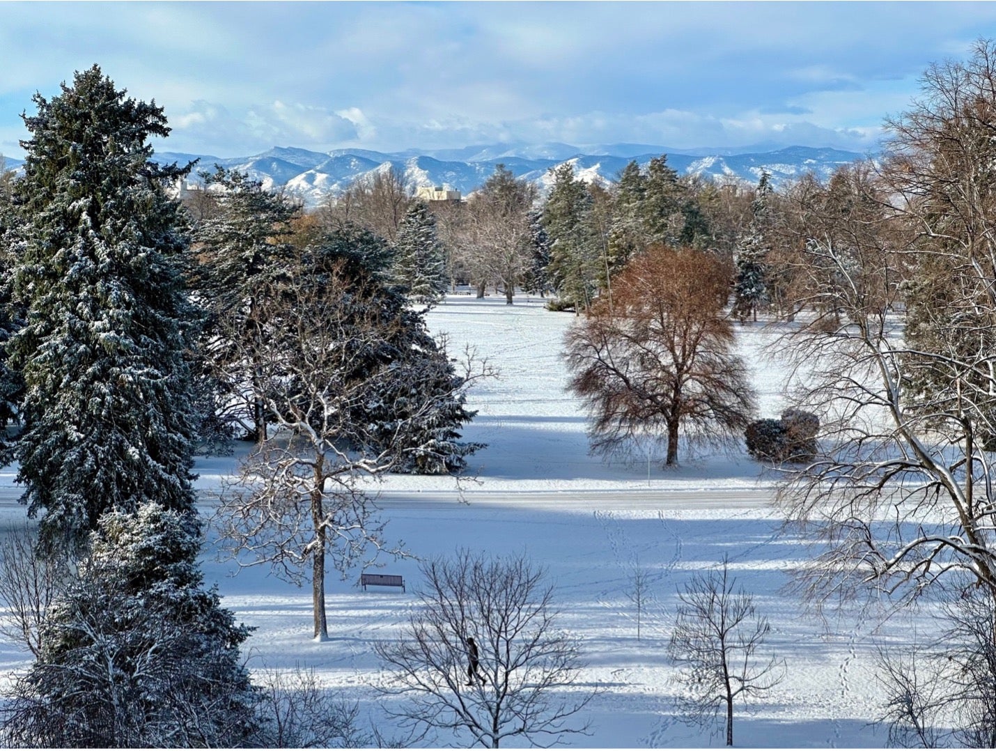 A snowy day in Denver