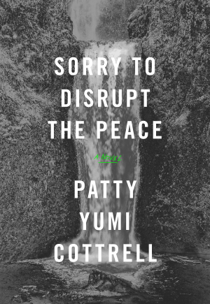Sorry to Disrupt the Peace Cover