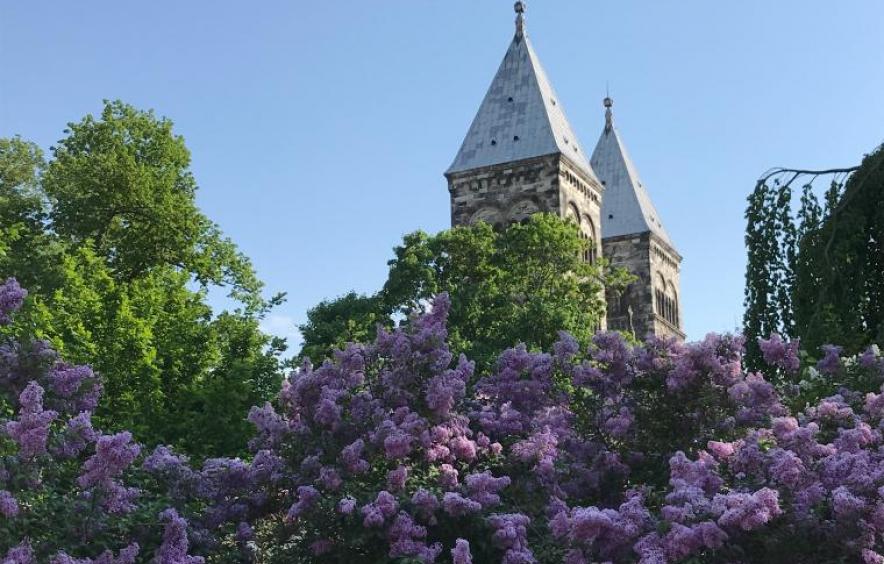 image of two buildings and flowers at Lund University in Sweden