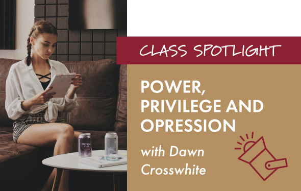 Power, Privilege and Oppression Class Graphic