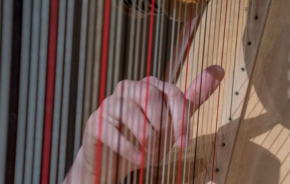 Harpist