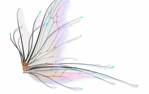 Fairy Wings