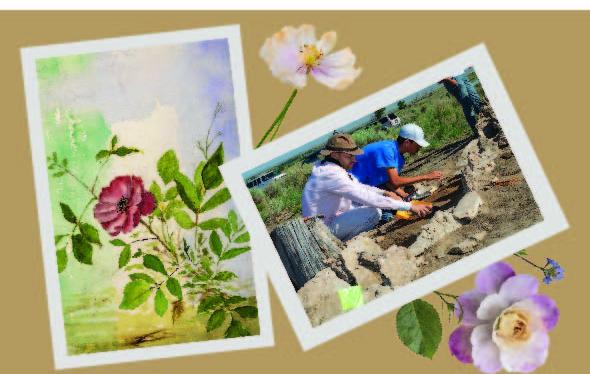 Amache Rose by Lily Havey and picture of archaeologists working at the 9L garden at Amache