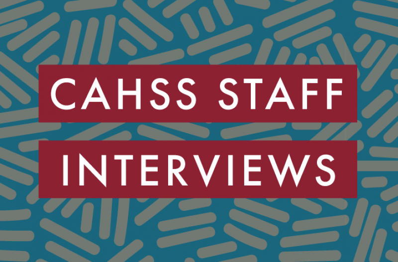 CAHSS staff interviews graphic