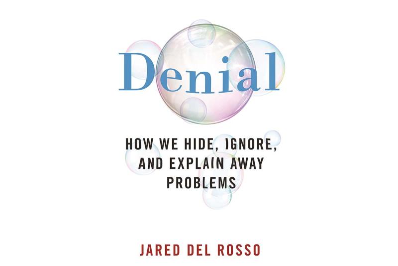 Book Cover of Denial, How We Hide, Ignore, and Explain Away Problems