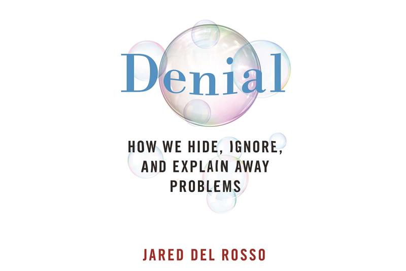 Book Cover of Denial, How We Hide, Ignore, and Explain Away Problems