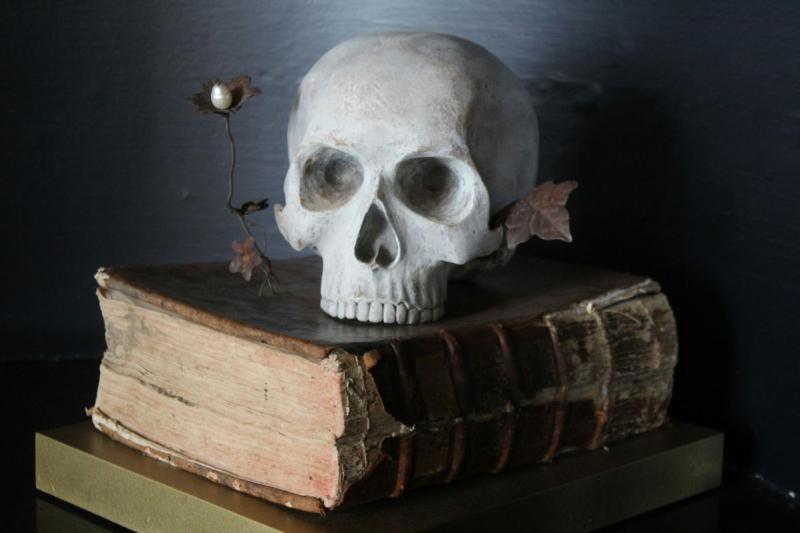 Scary CAHSS Classes 