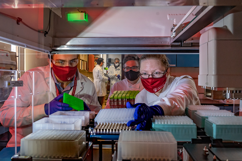 three people peering over covid 19 spit lab samples 