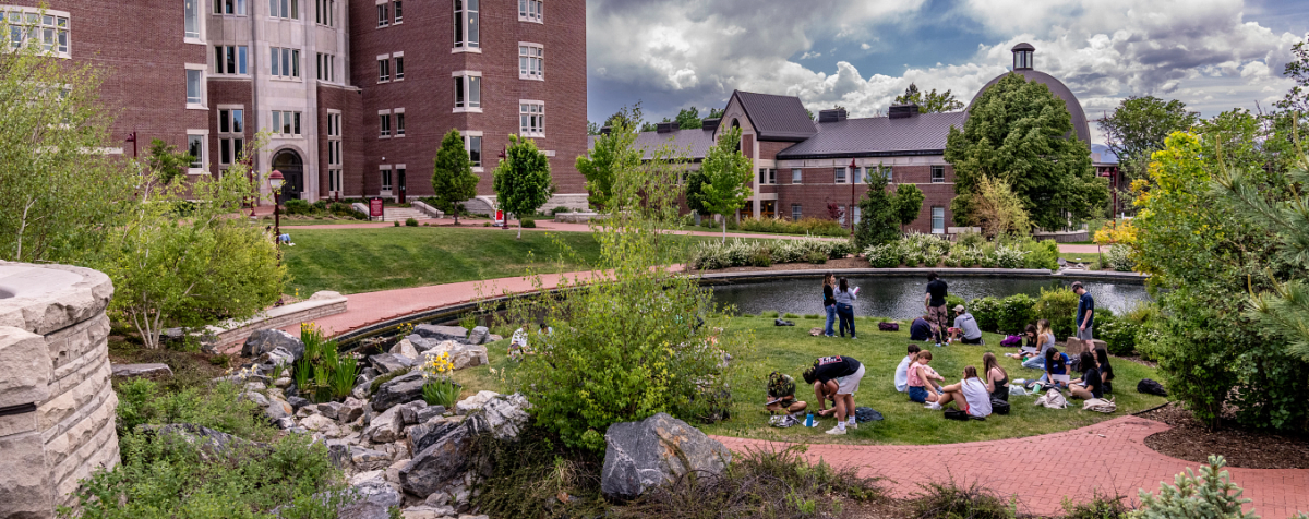 Students studying outside together