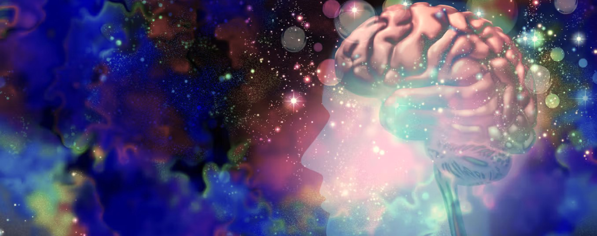 Brain in the cosmos