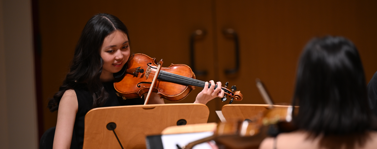 Violinist