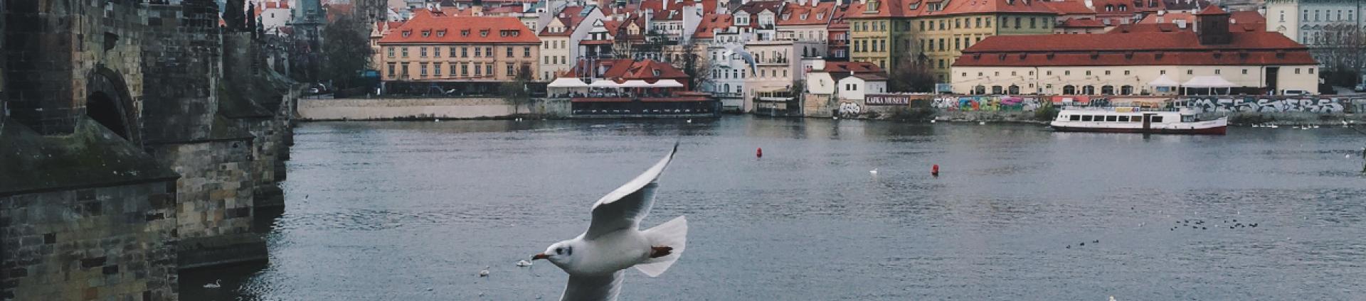 scenic image of harbor