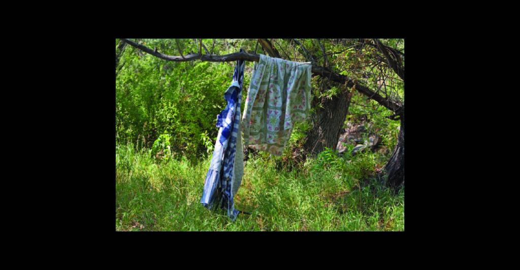 Laundry hanging from tree