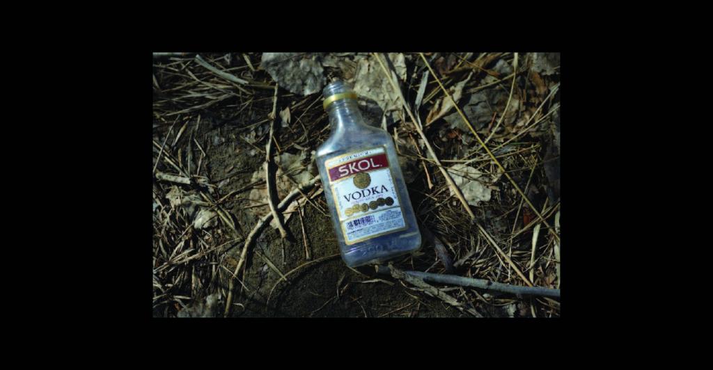 Vodka bottle on ground