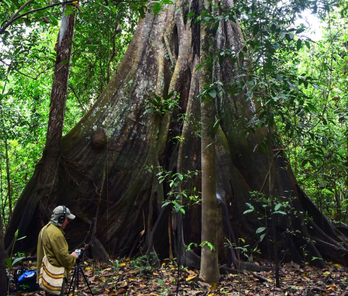 Timothy Weaver with tree