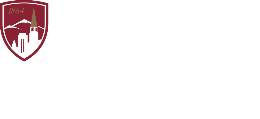 du department of film, media and journalism studies logo