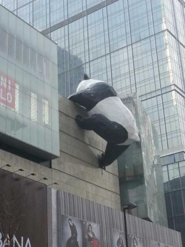 China Panda